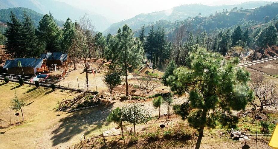 Himgiri Nature Retreat, Rajgarh, Solan 3